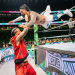 WWE Returns to Little Rock: Brock Lesnar and More on April 17, 2024
