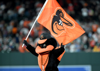 Authentic Orioles Mascot Costume for Fans & Collectors