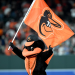 Authentic Orioles Mascot Costume for Fans & Collectors