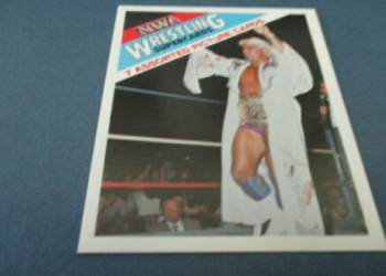 Authentic Ric Flair Robe for Sale – Signed & Guaranteed Quality