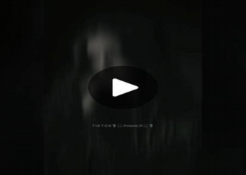 What Is Bryce Harpers Net Worth? Inside the Fortune of the Phillies Star