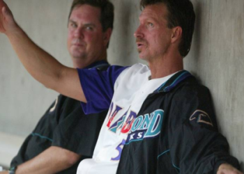How Randy Johnson's Fastball Hit a Bird: The 2001 MLB Mishap