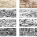 Exploring True Grit and Gray Zone Warfare: The Role of Mithras in Modern Conflicts