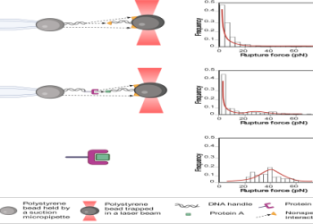 What Does KSI Stand For? Discover the Meaning Behind the Name
