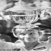 Who is Chris Evert Married To? Unraveling the Tennis Legends Love Life