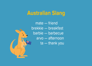 Top 30 Funny Bull Names That Will Make You Laugh