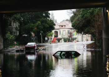 Anthony Kim and Emily: A Love Story That Survived the Storm