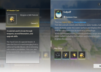 Blazing Brilliance Wuthering Waves: Best tips for beginners