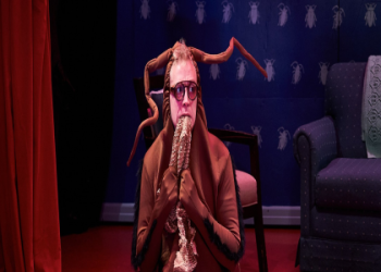 Meet Stephen Thompson: A Talented Stagehand You Should Know