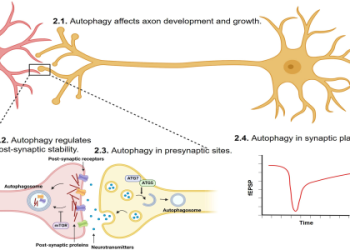 Everything you need to know about the amazing Suzanne Hannemann