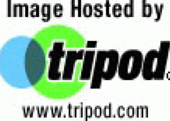 What Happened to Bryce Oliveira? The Shocking Story Behind Bryce Oliveiras Death