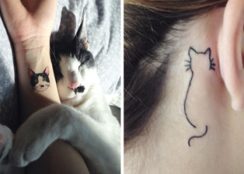 Sean O Malley Tattoos: Cool Body Art and Meanings Revealed