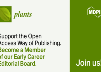 Adama Kamaras Story: From Refugee to Rising Star