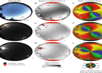 135 lbs in Stone: Easy Ways to Convert for Beginners
