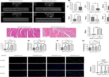 Get Started with Lingyang JP VA: Simple Steps and Tips
