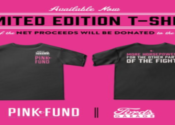 Get Your Breast Cancer NFL Apparel and Make a Difference