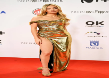 Carlos Alcaraz Girlfriend 2024:  Relationship Rumors and Updates