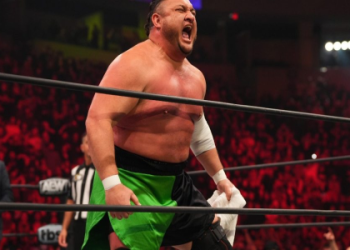 Wrestlers That Won Grammys: Unexpected Musical Talent