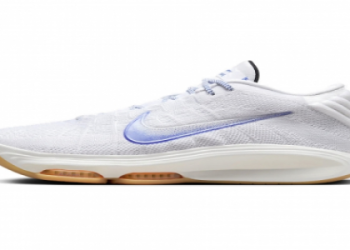 Curious About Draymond Green Shoe Size? Find Out Here!