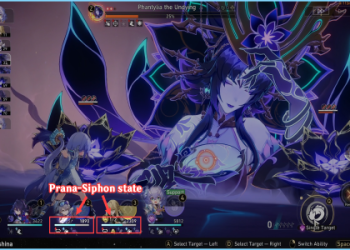 Experience the Magic: Look Afar at the Break of Dawn Wuwa