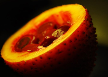 Fire Dragon Fruit Taste: Discover the Unique Flavor of This Amazing Fruit!