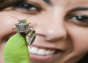 MLB The Show 24 Bugs: A List of Issues and How to Deal With Them