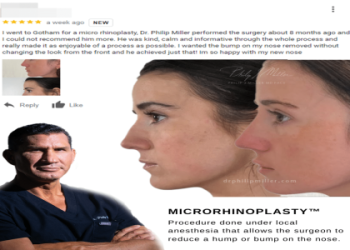 Phillip Miller: Who Is He? (Learn All About His Life and Work)