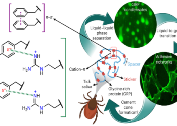 Change 59 kg to lbs and Stones: Check Out This Simple Method for Fast Results!