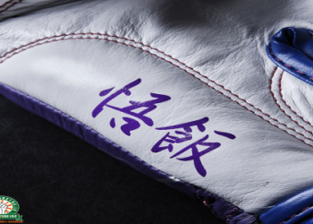 How to choose dragonball boxing gloves? Tips for you!