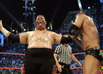 Anoai family explained (A simple guide for everyone)