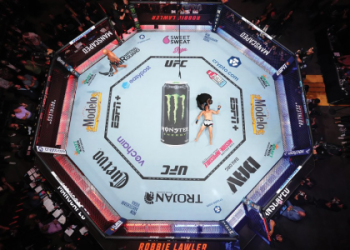 WWE Per View Cost: Is It Worth It? (Breakdown of Prices and Value)