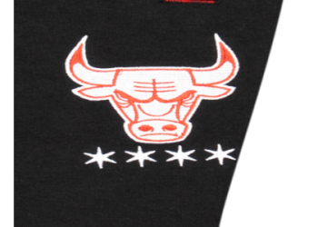 chicago bulls logo black style, cool or not cool?