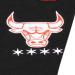 chicago bulls logo black style, cool or not cool?