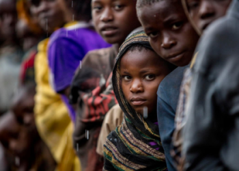 Tonga Loa Eye: What Happened?  A Breakdown of the Situation