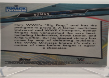 The Current CEO of WWE: Everything You Need to Know About the Top Dog!