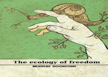 Grayzone One Shot One Kill: What Does It Mean? (Easy Guide for Beginners)