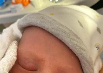 amaia nevaeh nunez: the complete guide to her life, career, and all things.