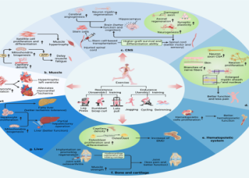 The CJ Watson McGregor Drama: Simple Explanation of What Went Down