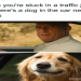 The Rock Memes That Will Make You Laugh (Hilarious Compilation)
