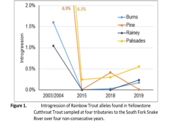 Long Beach State vs Iona Prediction: Expert Picks (A Deep Dive into the Stats and Predictions)