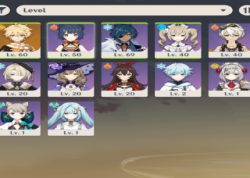 Want to Use Raiden National Team? This Guide is for You!