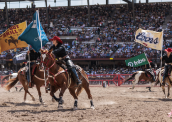 Inside Cheyenne Knights Net Worth: See Her Earnings and Success Story.