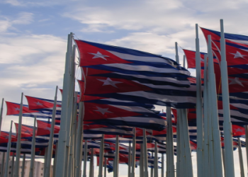 Discover the flag! What flag does Max Holloway carry and why?