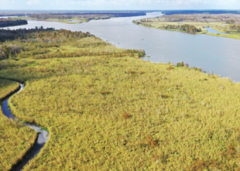 Learn About Tidal Heritage: History and Preservation Tips