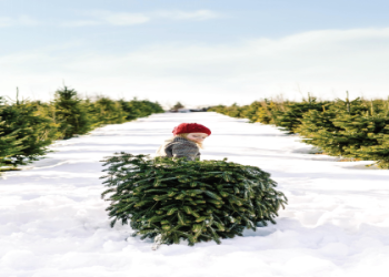 Monopoly GOs Snowy Creations: Milestone Rewards Guide!