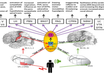 Honor of Kings: Understanding Reflect Damage - Does it Offer Damage Reduction?