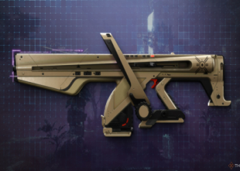 Perpetualis God Roll PvP: Best Perks & How to Get It!