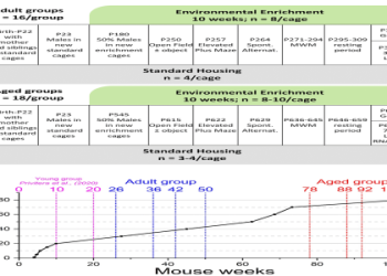 Arthur Mpofu: Key Information and Background(Everything Explained Simply)