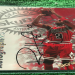 Toni Kukoc Autograph: Collecting Tips & Price Guide!