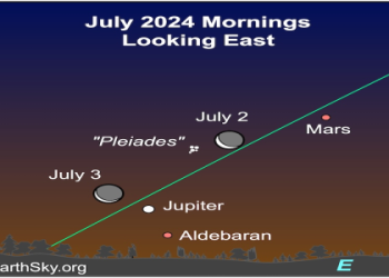 Jeffrey John Wolf Prediction: Next Match Odds & Betting Tips!